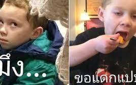 หมาน้อยนักปลูกผัก กับ สกุ๊ดเตอร์คู่ใจลงพุ่มสะงั้น!! รวมคลิปฮาพากย์ไทย