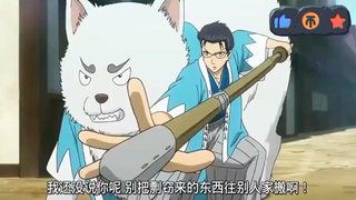 Gintama: Gintoki dan Hijikata bertukar tubuh