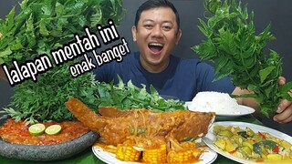 IKAN KERAPU SAUS PADANG + SAMBAL PEDAS NYELEKIT + TUMIS LABU DUDUK + LALAPAN MENTAH