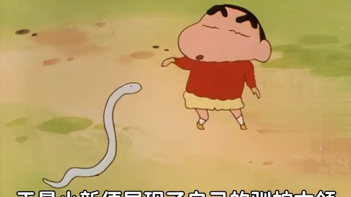 马铃薯带条蛇回来把美伢吓坏了