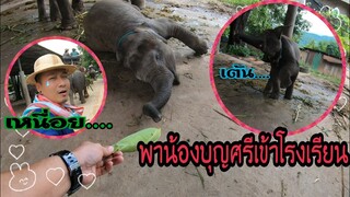 พาน้องบุญศรีเข้าโรงเรียน