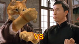 Fun|Ip Man VS. Orange Tabby Cat|Next Part of Uproar in Foshan