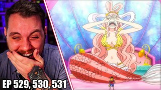 The Mermaid Princess is a Cry Baby || One Piece Episode 529, 530 & 531 REACTION