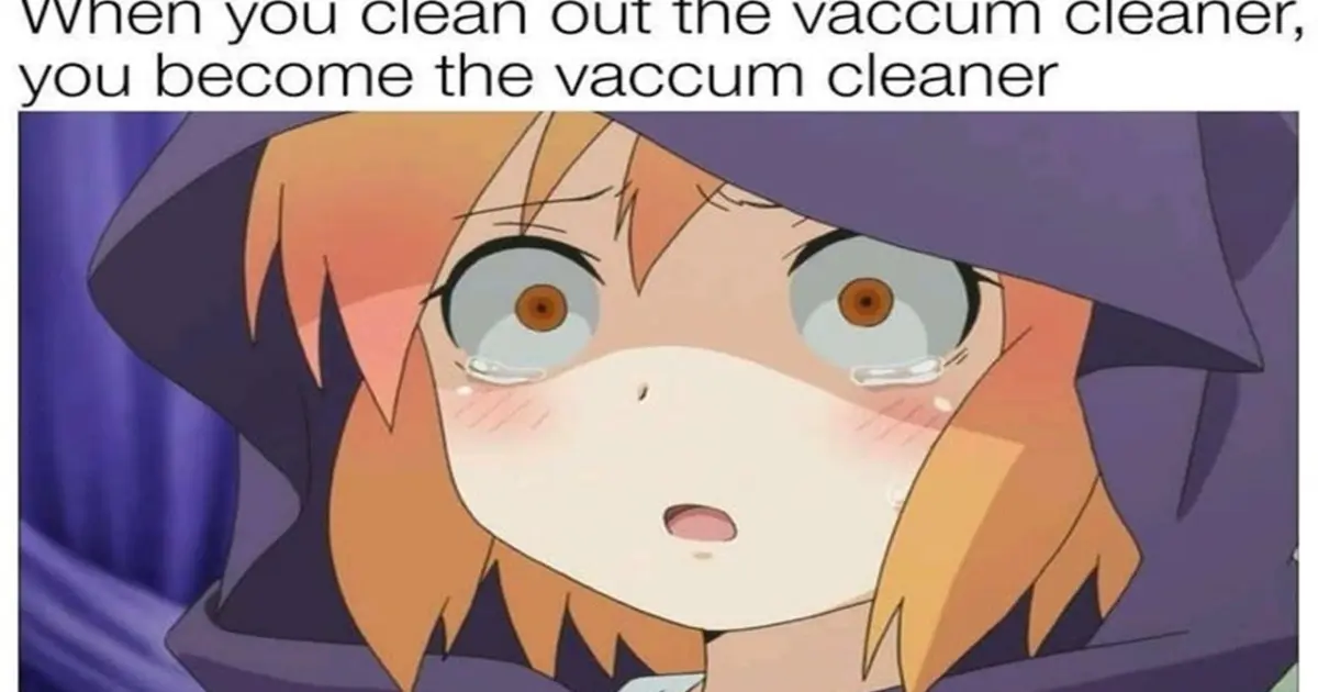 Anime Memes To Watch After Cleaning - Bilibili