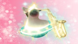 🎷萨克斯之猫🎷