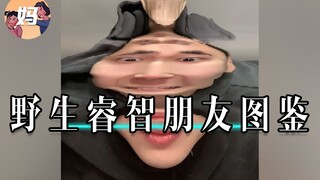 【野生人类图鉴】我与我的睿智朋友