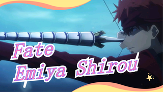 Fate|Summoned future Shirou and slaughtered all the spirits/Killing mode/Infinite Sword/EnumaElish