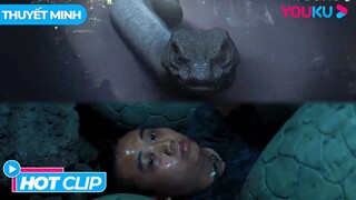 Đập Trứng Rắn Khổng Lồ Và Cái Kết Bị Báo Thù! |  ĐẢO RẮN - Snake Island Python | Phim Lẻ YOUKU