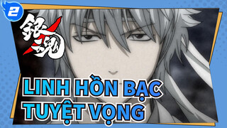 Linh Hồn Bạc|[Sakata Gintoki] Tuyệt vọng, Shiro Yasha_2