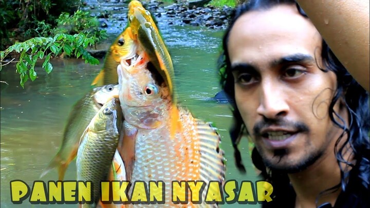 PANEN SISA IKAN HANYUT