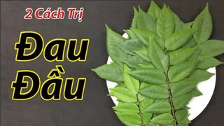 1 nắm lá khế 2 cách trị đau đầu và bí tiểu tại nhà rất hiệu quả, không phải ai cũng biết