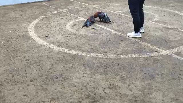 JJ Brothers 1st fight