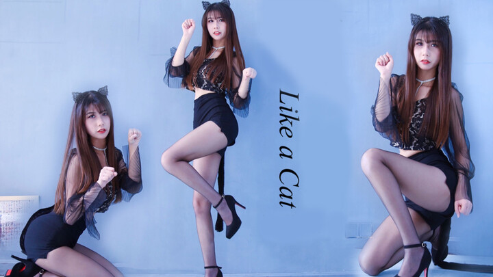AOA – "Like a Cat" Dance Cover