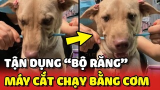 Sen tận dụng "BỘ RĂNG"  của Boss làm MÁY CẮT DÂY chạy bằng cơm 😂 | Yêu Lu