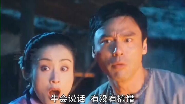 我家老牛会说话