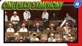 One Piece Symphony For One Piece Fans_4