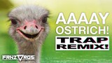 Aaaay Ostrich! [Ostrich sa Quezon City] (TRAP REMIX) | frnzvrgs 2