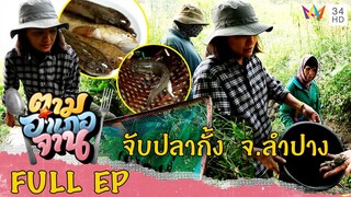 วิดน้ำหา 'ปลากั้ง' บ้านโป่งหลวง จ.ลำปาง | ตามอำเภอจาน | 22 เม.ย.66 Full EP