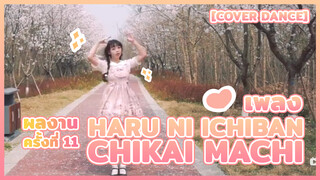 【Cover Dance】ผลงานครั้งที่ 11 - เพลง Haru ni Ichiban Chikai Machi