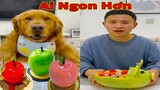 Thú Cưng TV | Đa Đa Thánh Chế #38 | Chó Golden Gâu Đần thông minh vui nhộn | Pets cute smart dog