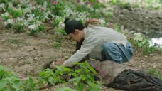 Trường Tương Tư (Bản Đặc Biệt) EP 1 [Sub Việt]