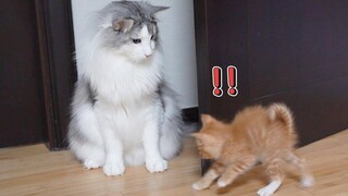 ในที่สุด Tany ก็เจอ Milky และ Gwangbok!!