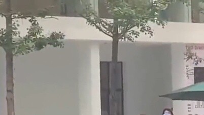 Hãy giúp đỡ, hãy giúp đỡ ngôi sao sinh ra Dilireba