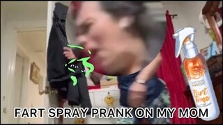 FART SPRAY PRANK ON MY MOM!!! *HILARIOUS REACTIONS* English Subtitles for my awesome Americans 🇺🇸