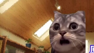 【Cat meme】Slice man after Neuro was suspended