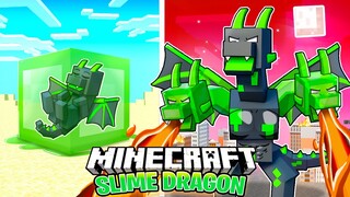 I Survived 100 Days as a SLIME DRAGON in HARDCORE Minecraft!