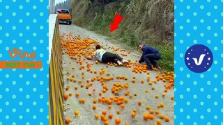 Best FUNNY Videos 2022 ● TOP People doing funny stupid things Part 19