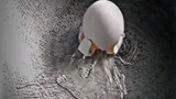 Cooking egg