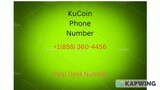 How To Find Kucoin Support ""𝟏.𝟖58-36𝟎-𝟒𝟒56"" Number (Instant Help Desk)