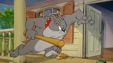 Tom and Jerry | Buddies and Lifes Compilation