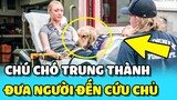 💥Chú chó TRUNG THÀNH DẪN ĐƯỜNG cho xe cứu thương đến CỨU CHỦ | TIN GIẢI TRÍ