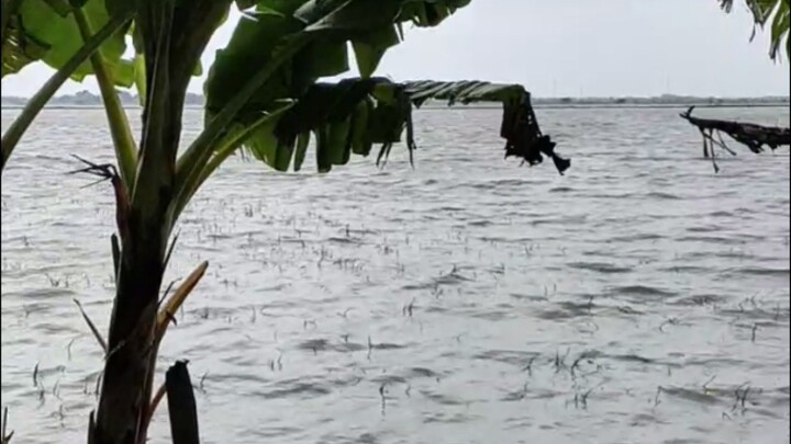 Nampak dimata kayak laut tapi ?