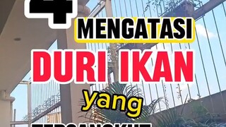 MENGATASI DURI IKAN YANG TERSANKUT DI TENGGOROKAN