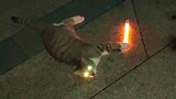 【Seni WOTA】Latihan tongkat lampu kucing kecil: burung biru → pedang ganas