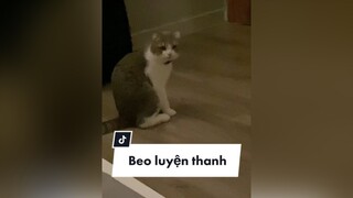 Sáng ngủ tối luyện thanh cat YourBestFriend meow