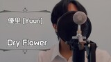 優里 (Yuuri) - ドライフラワー (Dry Flower) - Cover BY Hoshiko Yoru ( Accoustic ver )