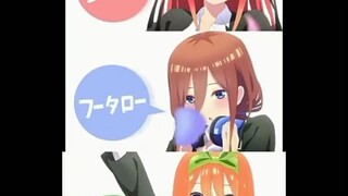 THE QUINTESSENTIAL QUINTUPLETS SHORT