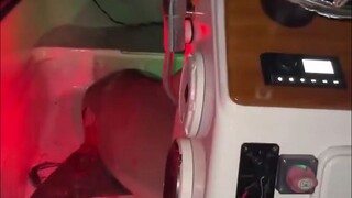 Một con cá mập bất ngờ nhảy lên thuyền của một người bạn câu cá nước ngoài. Anh ấy...anh ấy nên làm 