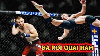 Những Cú Đá Kinh Hoàng Trong MMA Khiến Đối Phương Phải Quỳ Gối Xin Tha