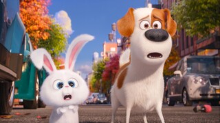 The Secret Life of Pets