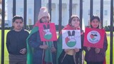 US children protest for Gaza in front of the White House