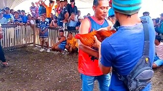 Ang taas nang kalabon
