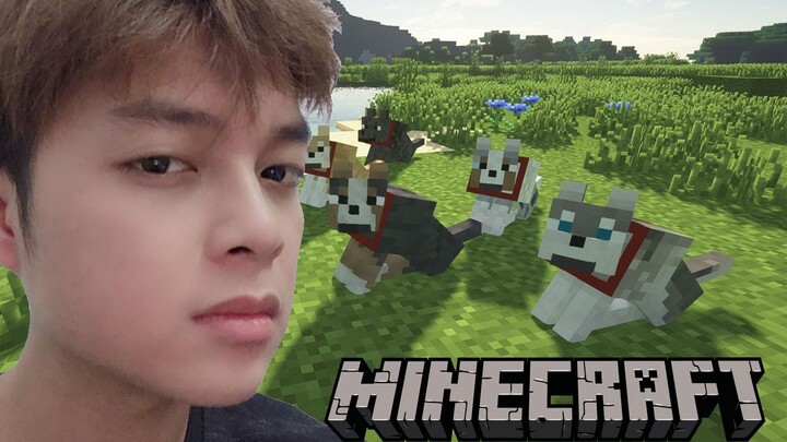 Minecraft Gà Sinh Tồn Tập 12 : Bắt Thành Công BA CON SÓI !