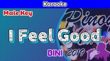 I Feel Good by BINI (Karaoke : Male Key)