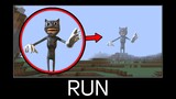 Minecraft wait what meme part 365 (Giant Cartoon Cat)