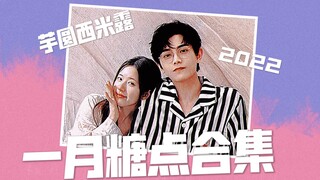 【丁禹兮/赵露思】【露兮小心肝/成交夫妇】 一月糖点合集（2022）